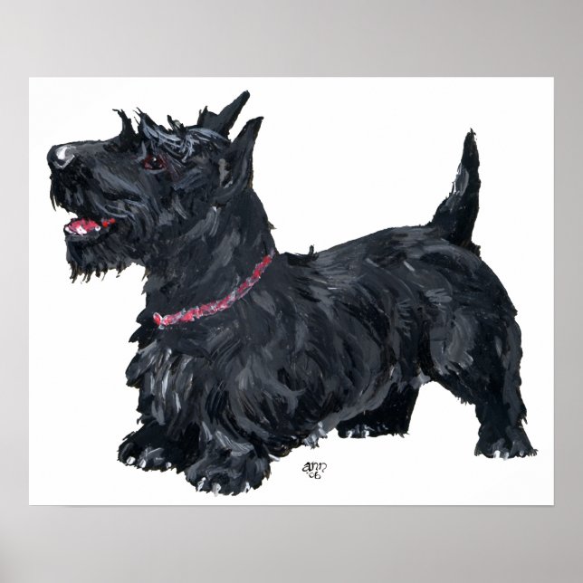 Scottish Terrier Poster (Front)