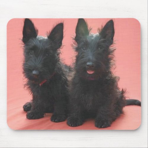 Scottish Terrier puppies mousepad