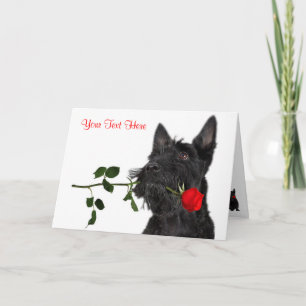 Scottish Terrier Puppy Red Rose Valentine Design Holiday Card