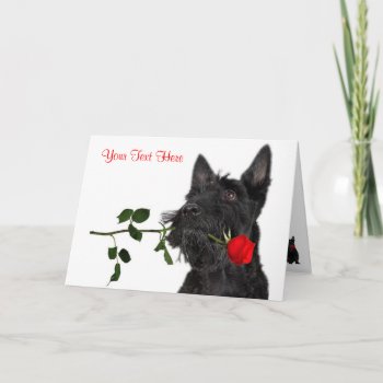 Scottish Terrier  Puppy Red Rose Valentine Design Holiday Card by 4westies at Zazzle