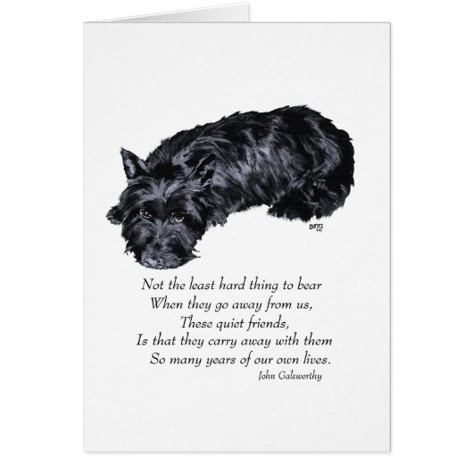 Scottish Terrier Rainbow Bridge Cards (Front)
