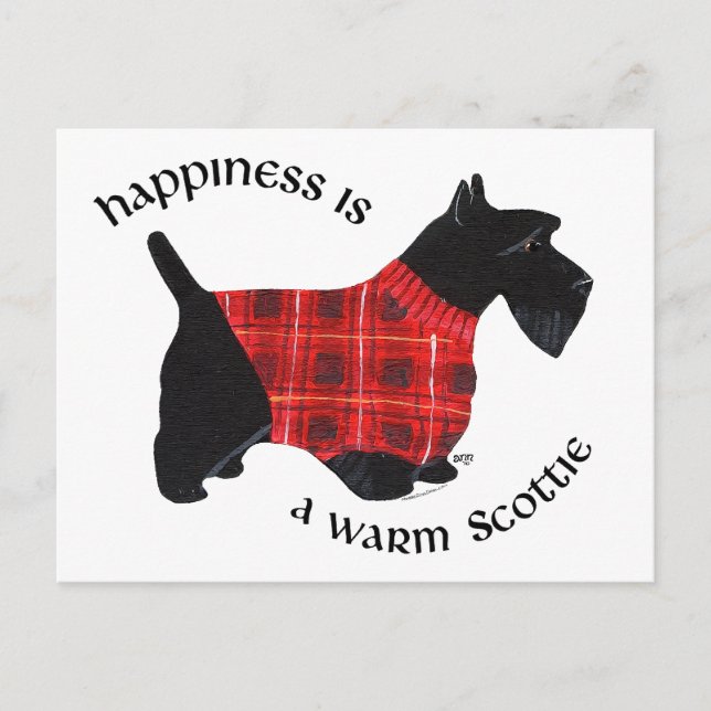 Scottish Terrier Red & Black Plaid Sweater Postcard (Front)