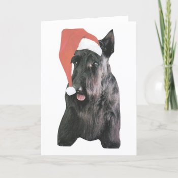Scottish Terrier Santa Hat Christmas Holiday Card by walkandbark at Zazzle