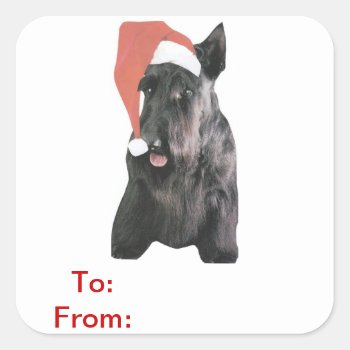 Scottish Terrier Santa Hat Gift Tags Sticker by walkandbark at Zazzle