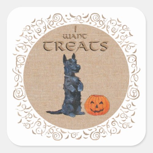 Scottish Terrier Sits Up for Treats Square Sticker