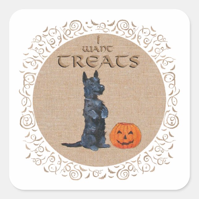 Scottish Terrier Sits Up for Treats! Square Sticker (Front)