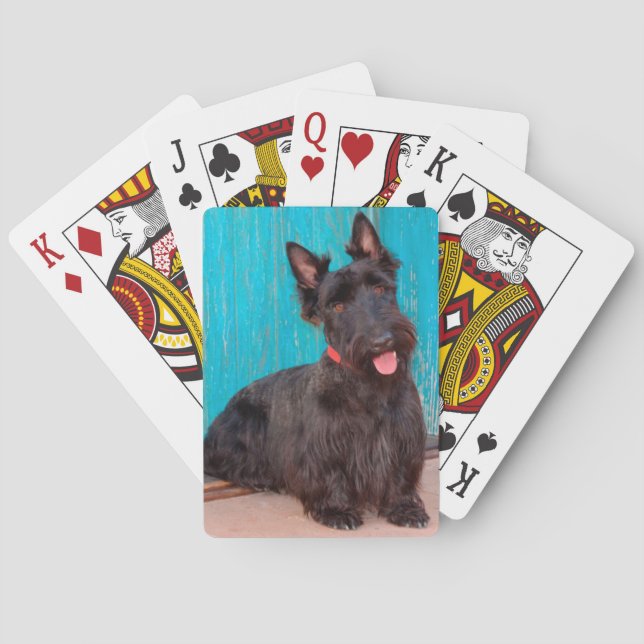 Scottish Terrier sitting by colorful doorway Poker Cards (Back)