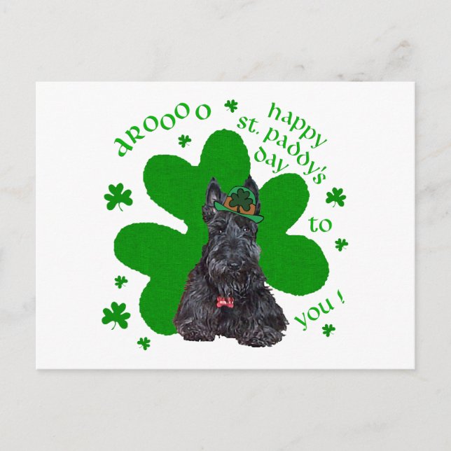 Scottish Terrier St. Paddys Day Postcard (Front)