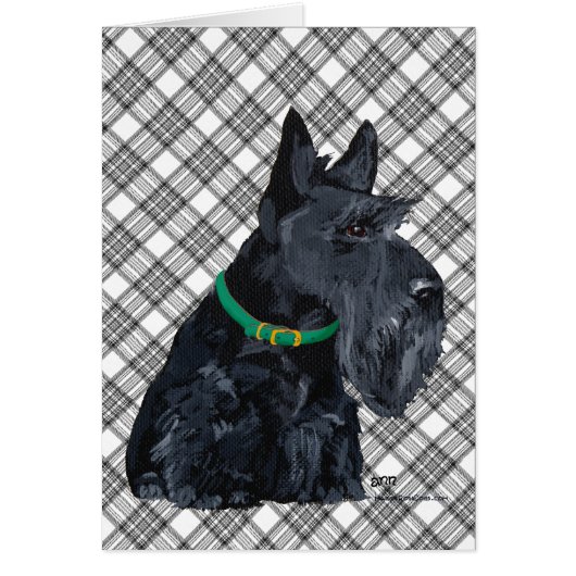 Scottish Terrier St Patricks Day Cards (Front)