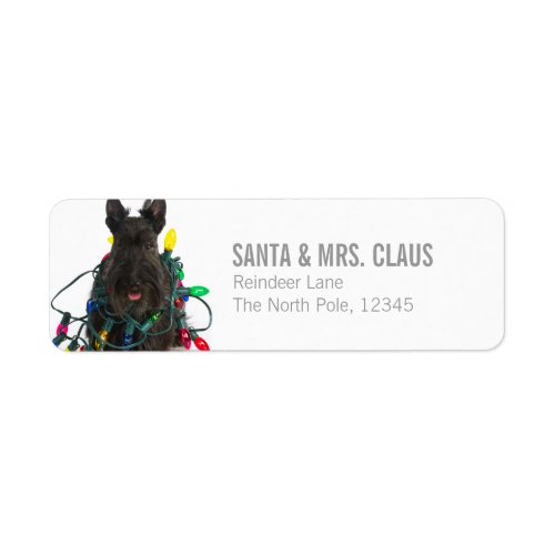 Scottish Terrier Tangled In Christmas Lights Label