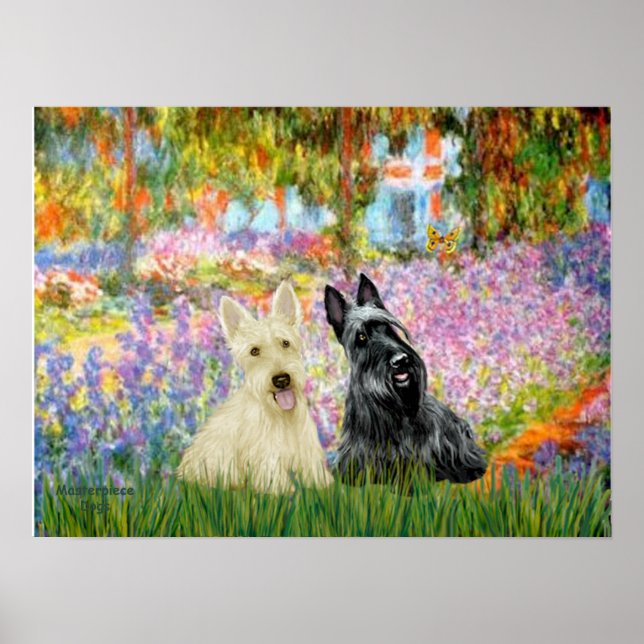 Scottish Terrier (two BW) - Garden Poster (Front)
