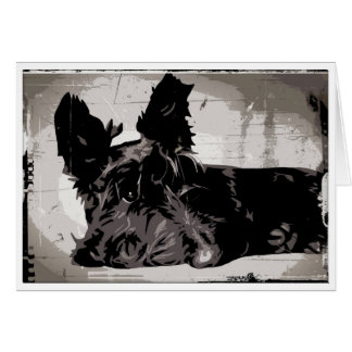 Scottish Terrier urban background Cards