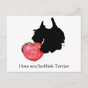 Scottish Terrier Valentine Holiday Postcard
