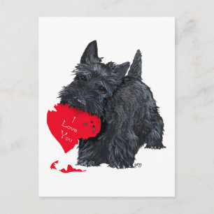 Scottish Terrier Valentine Holiday Postcard