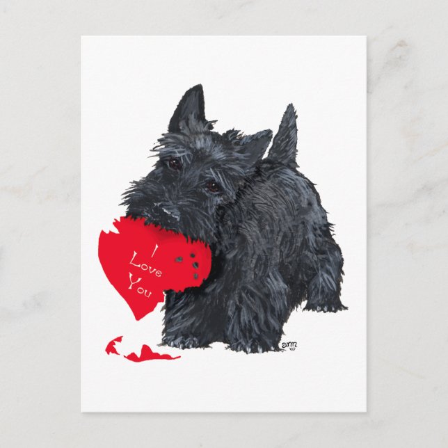 Scottish Terrier Valentine Holiday Postcard (Front)
