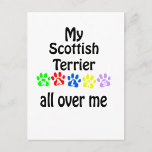 Scottish Terrier Walks Design Postcard