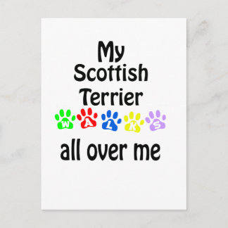 Scottish Terrier Walks Design Postcard