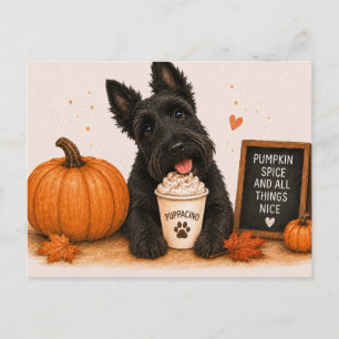 Scottish Terrier Warm Pumpkin Spice Puppaccino Postcard