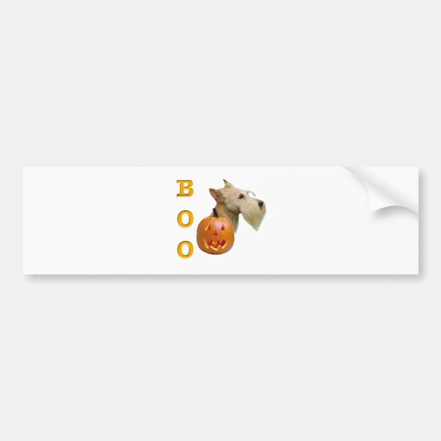 Scottish Terrier (wheaten) Boo Bumper Sticker (Front)