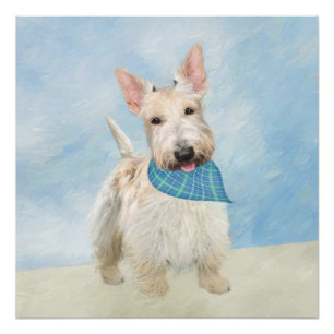 Scottish Terrier Wheaten Dog Painting Original Art Poster
