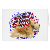 Scottish Terrier (wheaten) Patriot (Front Horizontal)