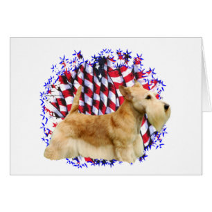 Scottish Terrier (wheaten) Patriot Cards