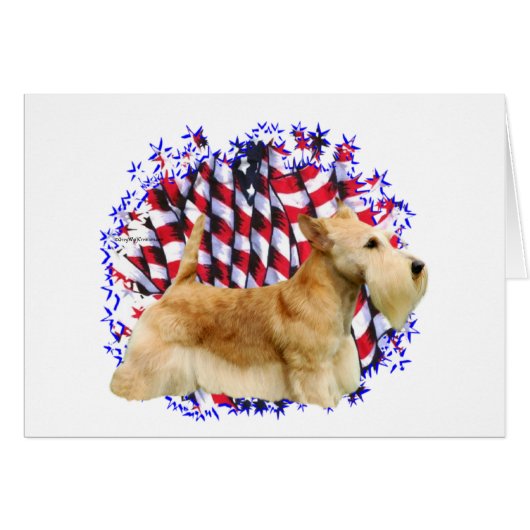 Scottish Terrier (wheaten) Patriot Cards (Front Horizontal)