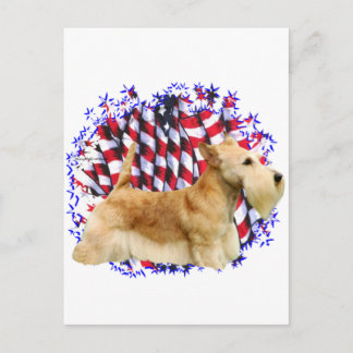 Scottish Terrier (wheaten) Patriot Postcard