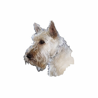 Scottish Terrier (Wheaten) Statuette