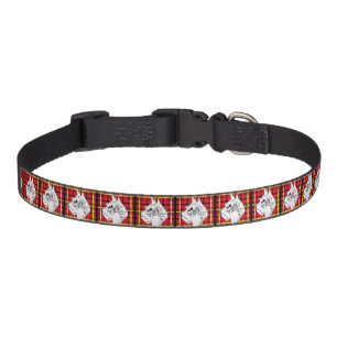 Scottish Terrier, White plaid Dog Collar