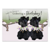 Scottish Terriers Party Animal (Front Horizontal)