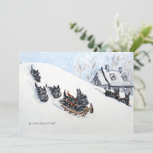 Scottish Terriers Sledding (Standing Front)