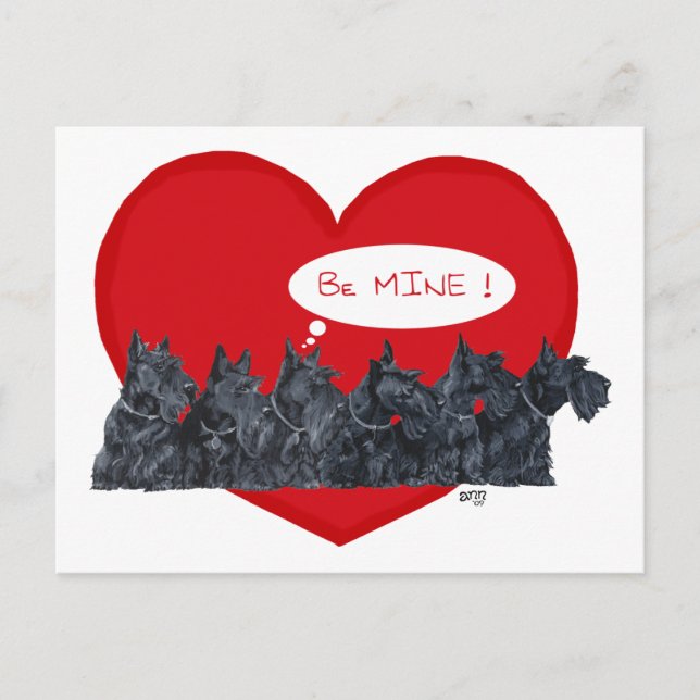 Scottish Terriers Valentine Holiday Postcard (Front)