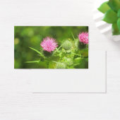 Scottish Thistle (Desk)