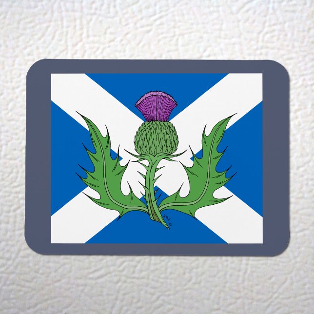 Scottish Thistle and Saltire Magnet (Scottish Thistle and Saltire Flexi Magnet on White Fridge)
