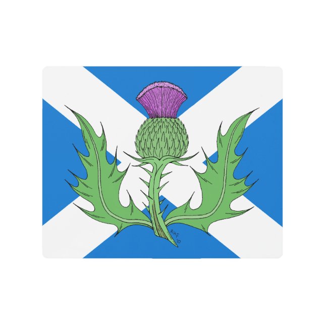 Scottish Thistle and Saltire Metal Print (Front)