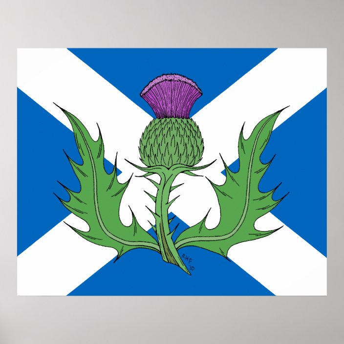 Scottish Thistle and Saltire Poster