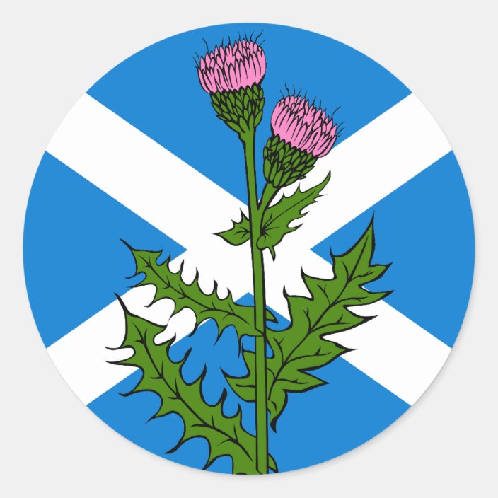 Scottish thistle classic round sticker | Zazzle.com