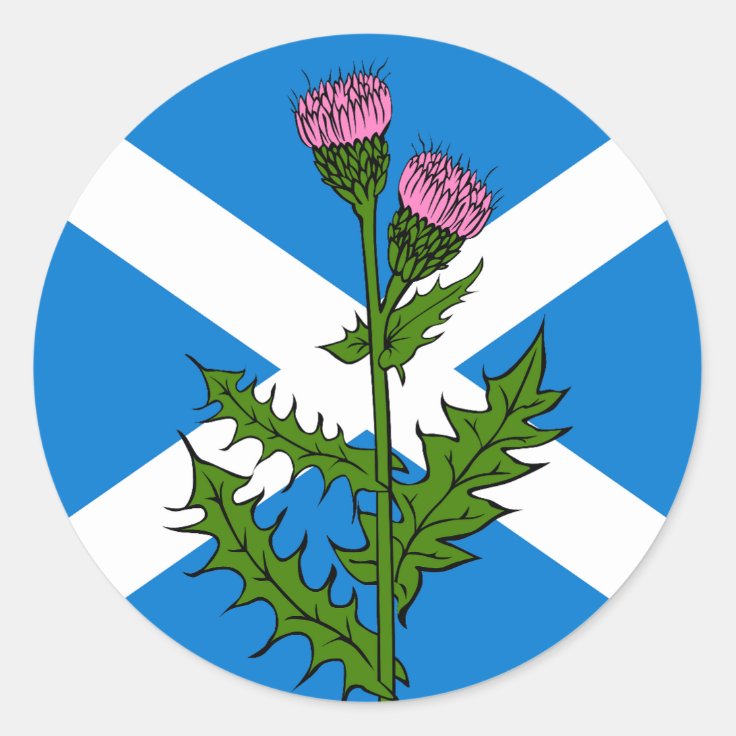 Scottish thistle classic round sticker | Zazzle