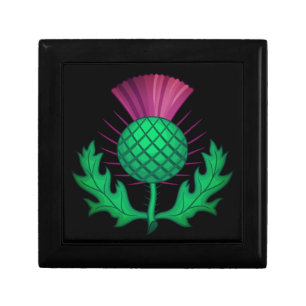 Scottish Thistle Gift Box