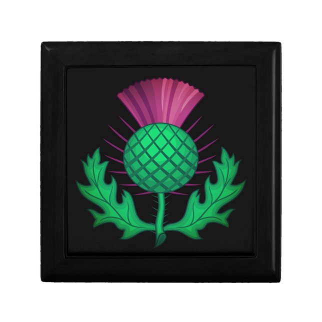 Scottish Thistle Gift Box (Front)