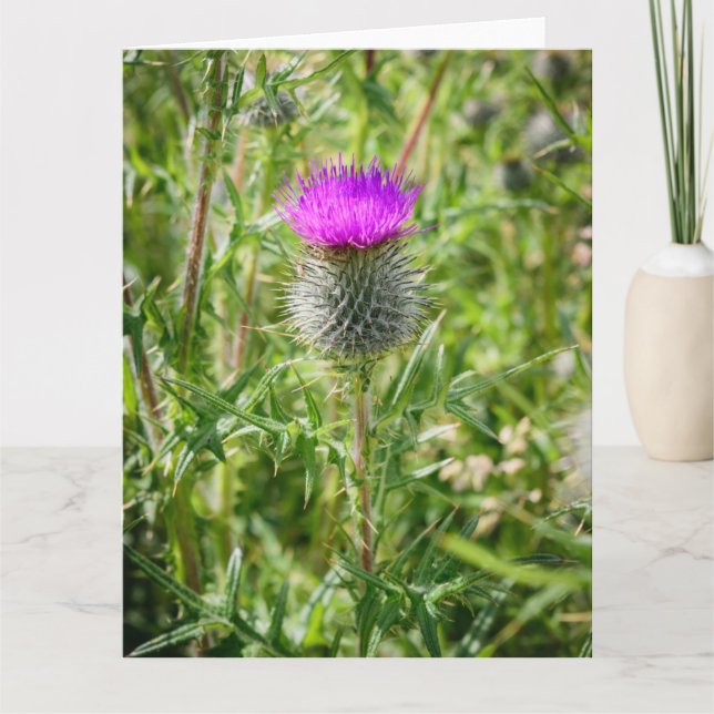 Scottish Thistle Letterpress Thank You Card (Front)