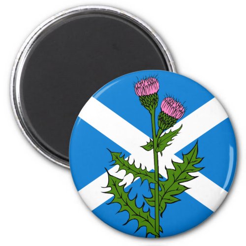 Scottish thistle magnet