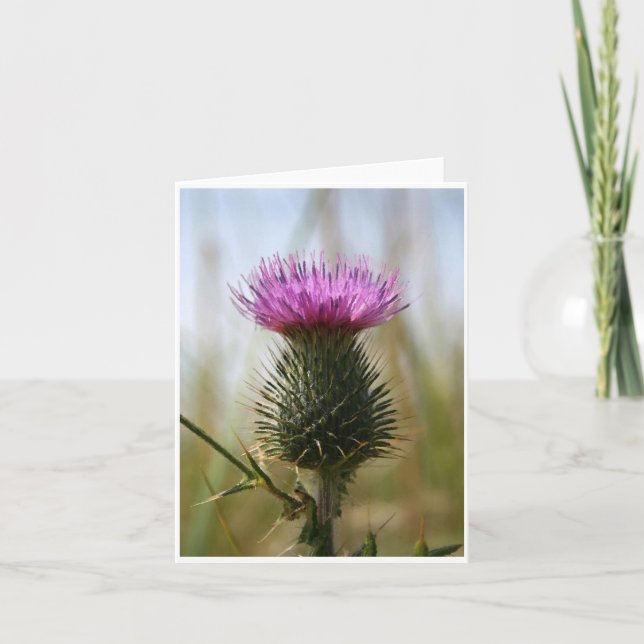 Scottish Thistle Notecard (Front)
