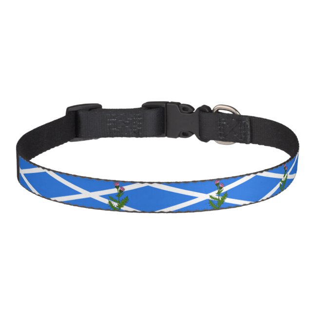 Scottish thistle pet collar (Front)