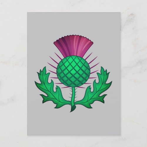 Scottish Thistle Postcard