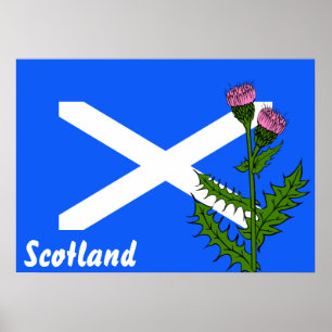 Scottish thistle poster