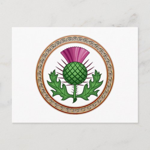 Scottish Thistle Symbol Badge Postcard