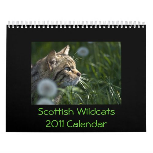 Scottish Wildcats 2011 Calendar