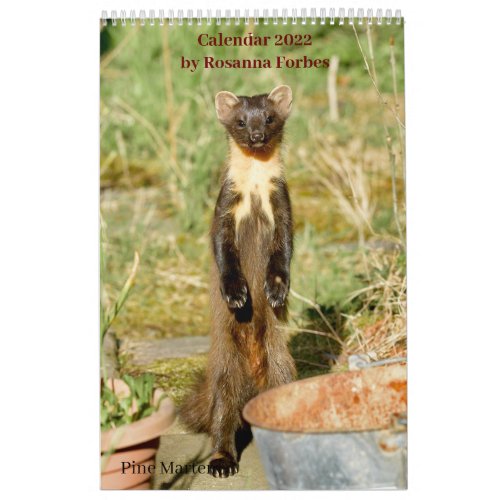 Scottish Wildlife Calendar 2022